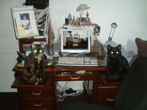 Merle and Siouxsie guard my work-space. Note the deadly radioactive eyes!